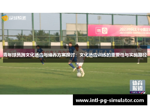 青年球员跨文化适应与培养方案探讨：文化适应训练的重要性与实施路径